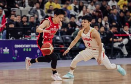 IM电竞app-布鲁克林有棵树电影完整版免费